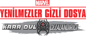 Yenilmezler Gizli Dosya: Kara Dul & Cezalandırıcı