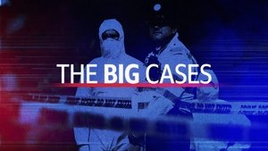 The Big Cases 2022 on Online Series