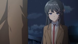 Rascal Does Not Dream of Bunny Girl Senpai Season 1 Episode 2