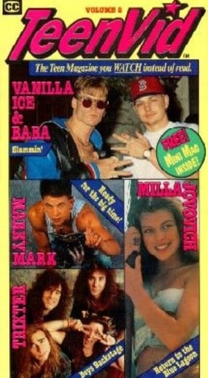 Poster Teen Vid II 1991