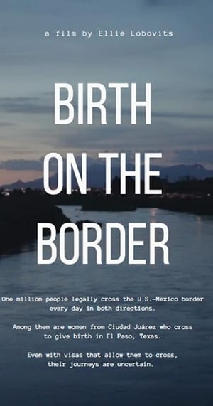 Poster Birth on the border (2018)