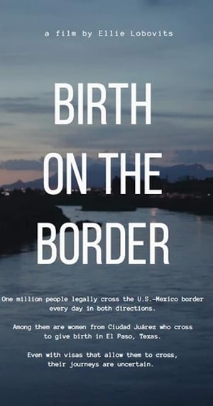 Poster Birth on the border 2018