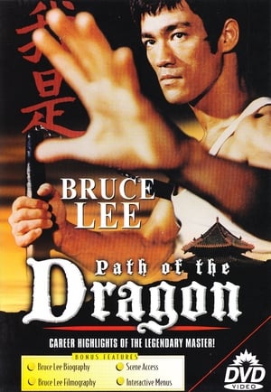 The Path of the Dragon (1998) | Team Personality Map