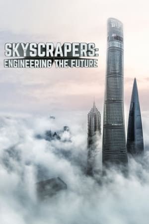 Image Skyscrapers: Engineering the Future