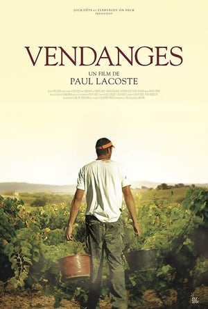 Vendanges