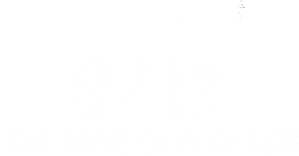 9/11: The Unseen Footage