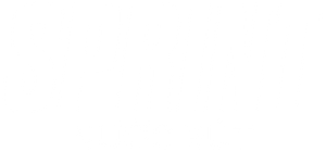 SPRINT — Logos 1