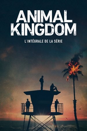Animal Kingdom movie poster