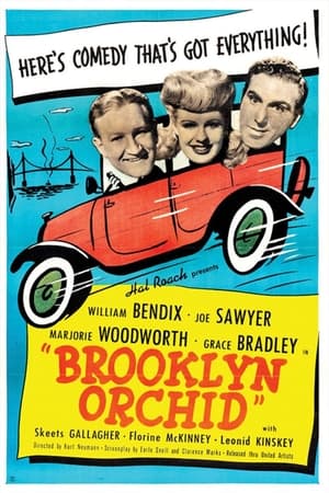 Poster Brooklyn Orchid 1942