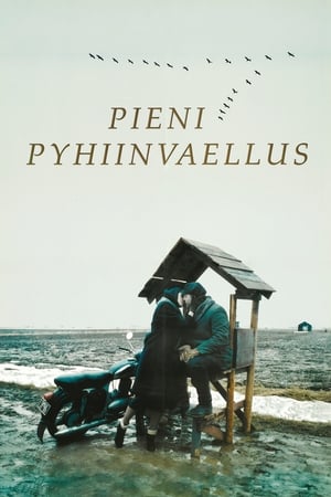 Poster Pieni pyhiinvaellus (2000)
