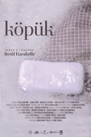 Image Köpük