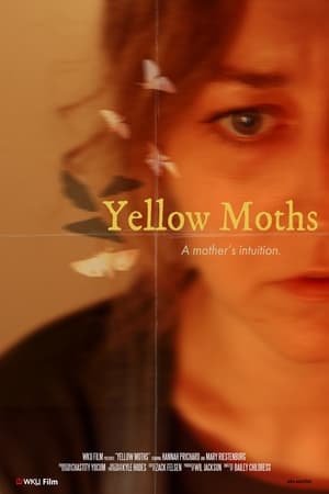 Poster Yellow Moths 2024