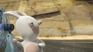 Kite Rabbids