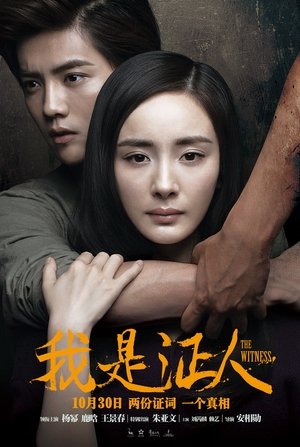 Poster 我是证人 2015