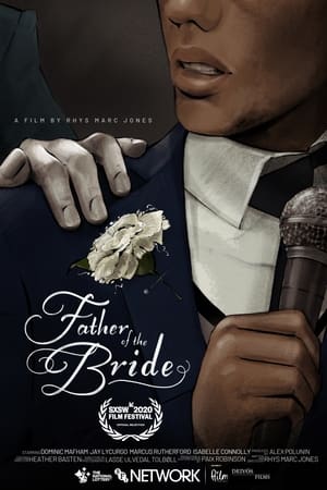 Poster Father of the Bride 2020