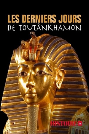 Poster Tutankhamun with Dan Snow 2020