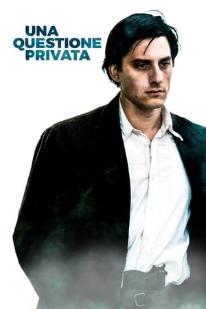 Poster Una questione privata 2017