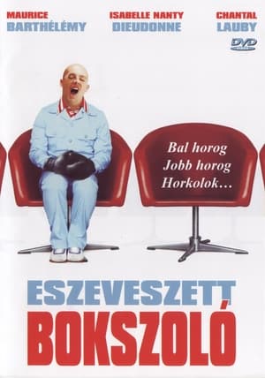 Poster Eszeveszett bokszoló 2004