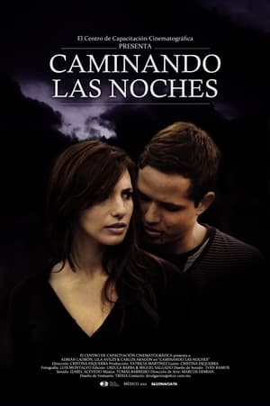 Poster Caminando las noches (2012)