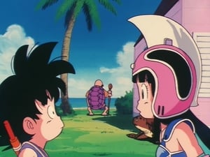 Dragon Ball: 1×8