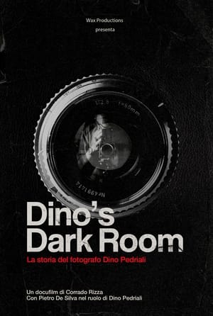 Poster Dino's dark room ()