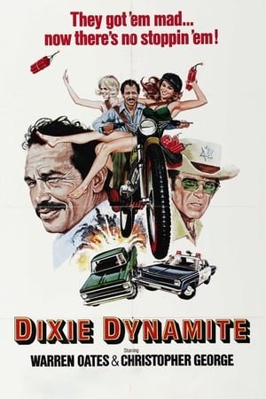 Dixie Dynamite poster