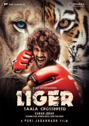Liger 35