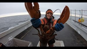 Homards : pêche à haut risque