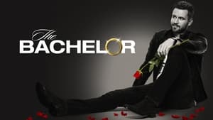 poster The Bachelor