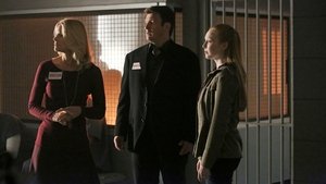 Castle 6×7 Temporada 6 Capitulo 7 Online Español Latino