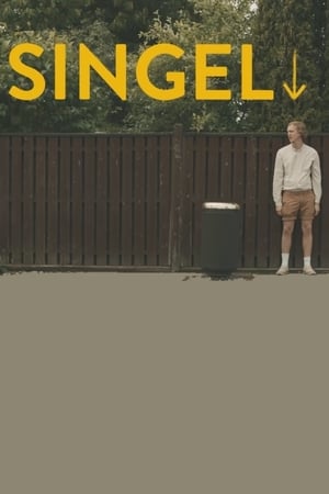 Poster Singel (2015)