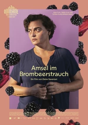 Poster Amsel im Brombeerstrauch 2023