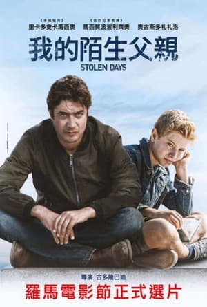 Poster 我的陌生父亲 2019