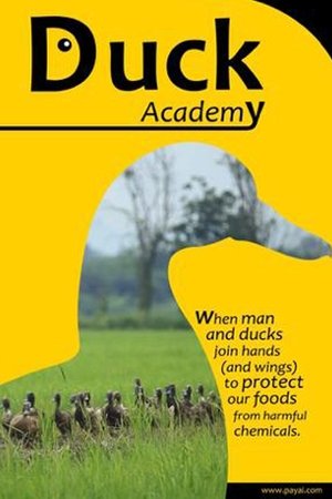 Poster Duck Academy 2019