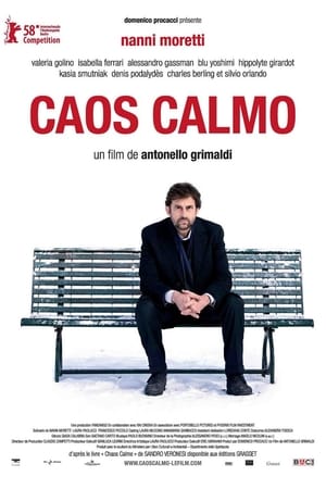 Poster Caos Calmo 2008