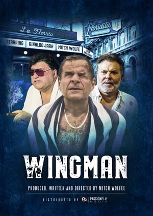 Poster WingMan 2020