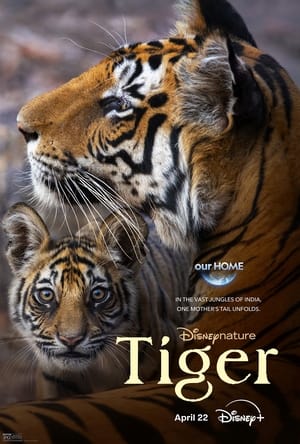 watch-Tiger