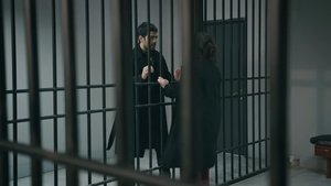 Episode 211