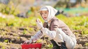 The Potato Lab Season 1 Episode 11