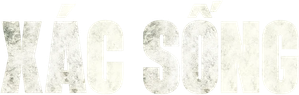 Ảnh 873