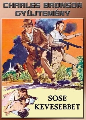 Poster Sose kevesebbet 1959