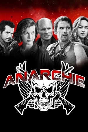 Poster Anarchie 2014