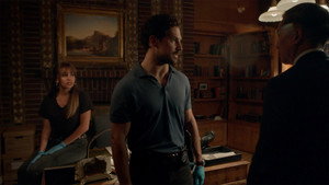 Wild Cards: 1×9