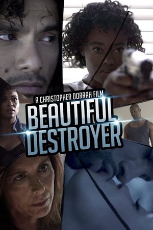 Poster Beautiful Destroyer 2015