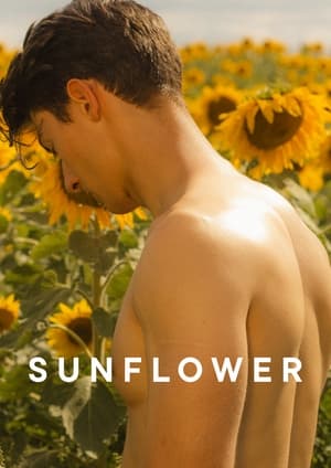 Image Sunflower