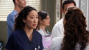 Grey’s Anatomy 9 x Episodio 11