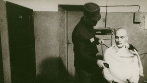 The Story of Documentary Film: 1980s