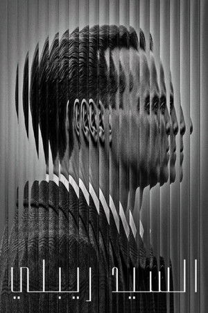 السيد ريبلي