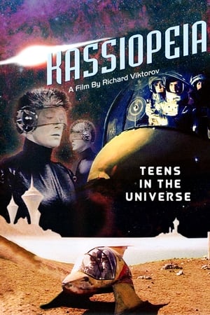 Teens in the Universe poster