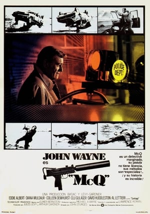 Poster McQ 1974